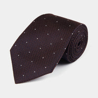 Silk Polka Dot Tie in Carafe