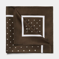 Polka Dot Pocket Square in Carafe