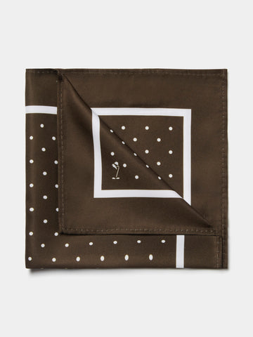 Polka Dot Pocket Square in Carafe