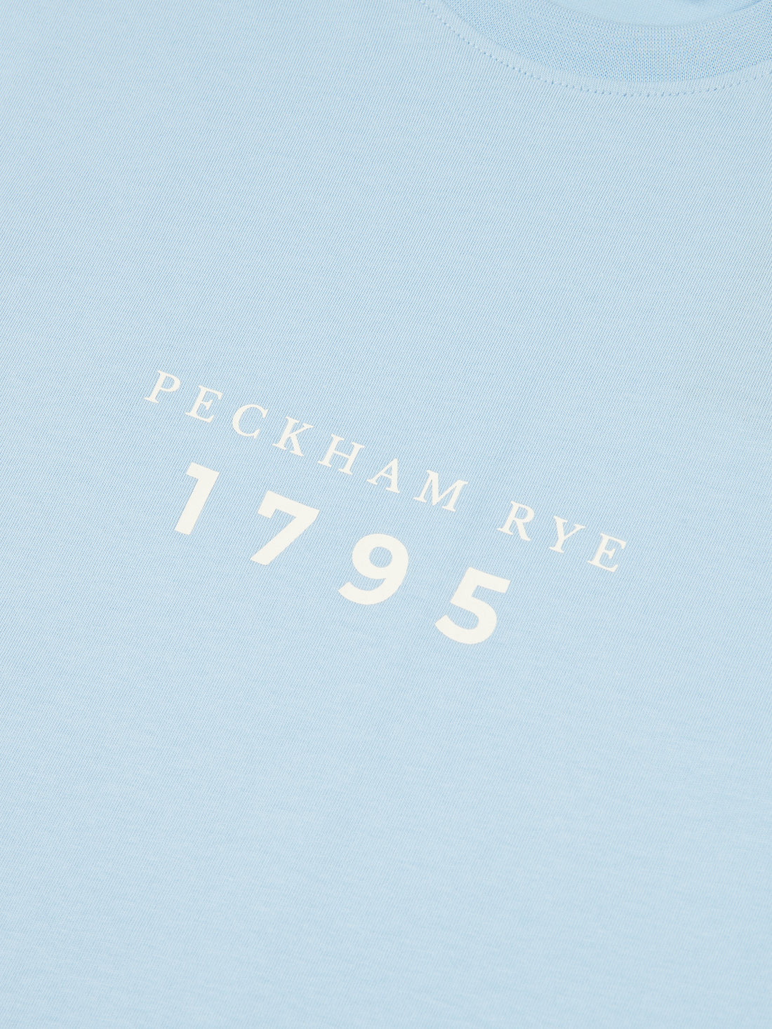 Peckham Rye Mens Print T-Shirt in Cerulean