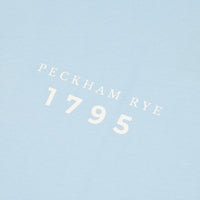 Peckham Rye Mens Print T-Shirt in Cerulean