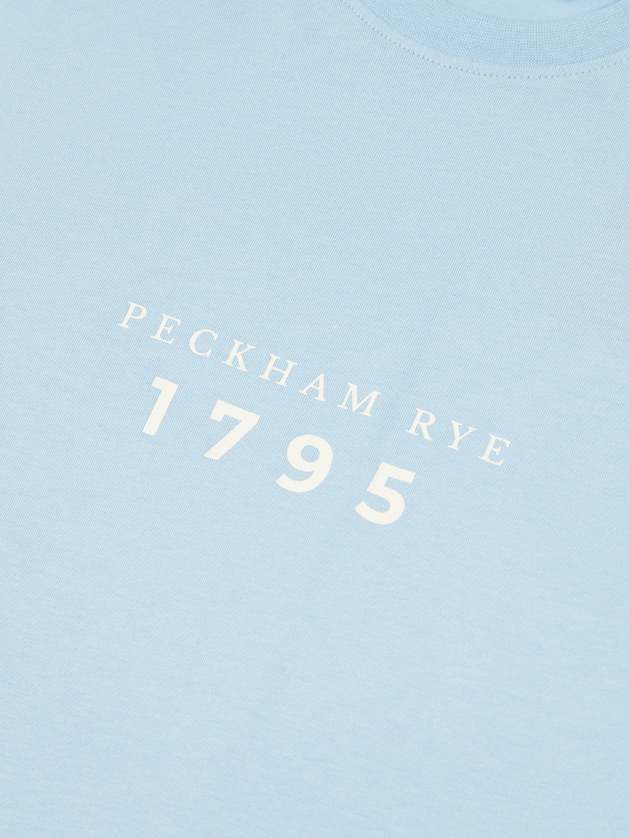 Peckham Rye Mens Print T-Shirt in Cerulean