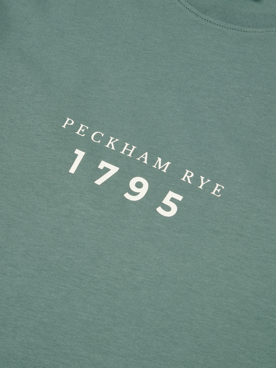 Peckham Rye Mens Print T-Shirt in Dark Forest