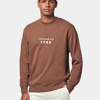 Graphic French Terry Sweatshirt in Carafe