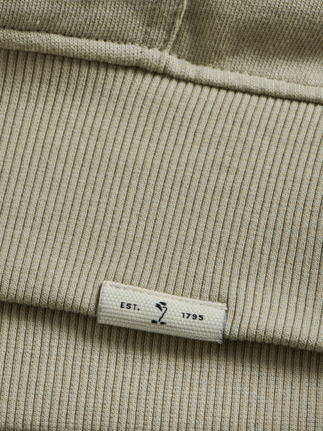 Essential French Terry Hoodie in Alfalfa