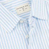 Peckham Rye Mens Striped Oxford Shirt in Quiet Harbor