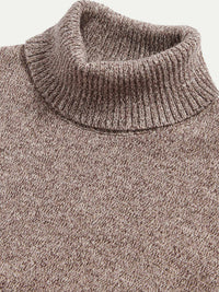 Twisted Yarn Knit Roll Neck in Simply Taupe